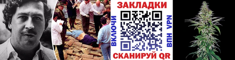 Виды наркоты Вязники Экстази  Alpha-PVP  Меф  ГАШ  Бошки Шишки  КОКАИН 