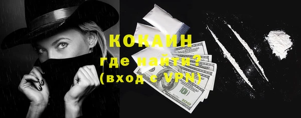 молекула духа Вяземский