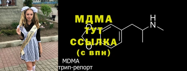 молекула духа Вяземский