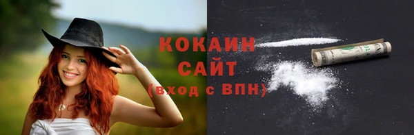 молекула духа Вяземский