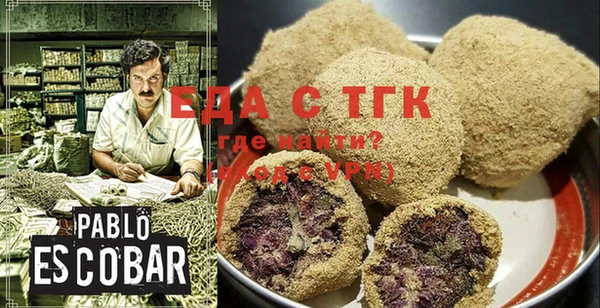 молекула духа Вяземский