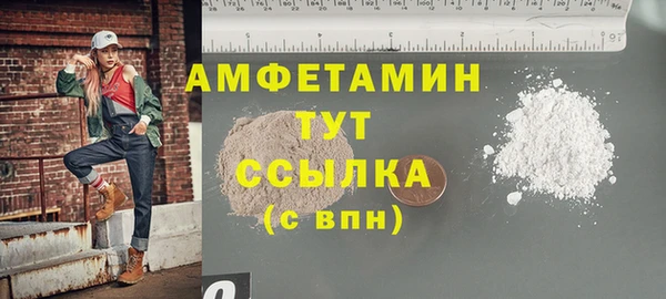 молекула духа Вяземский