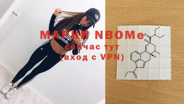 молекула духа Вяземский