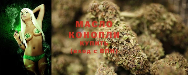 молекула духа Вяземский