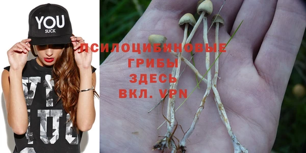 спиды Вязьма