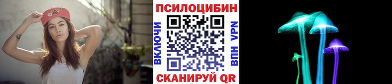 где купить Вязники Псилоцибиновые грибы ЛСД