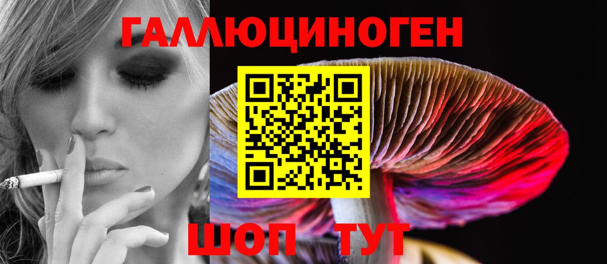 Вязники  Галлюциногенные грибы GOLDEN TEACHER  Вход с VPN  Галлюциногенные грибы Psilocybe 